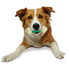 Nylabone dental nubs promote plaque and tartar control during chewing.