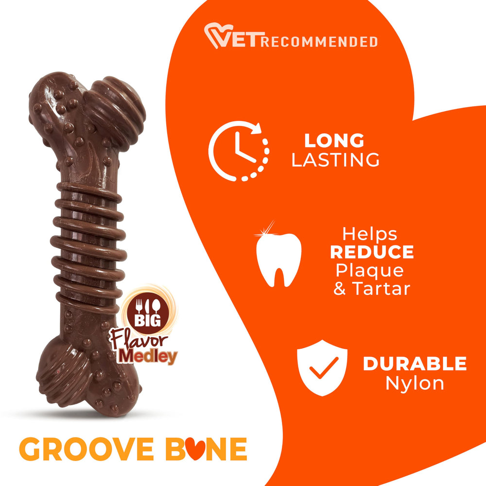 Nylabone durable chew toy for extreme chewers made of strong nylon