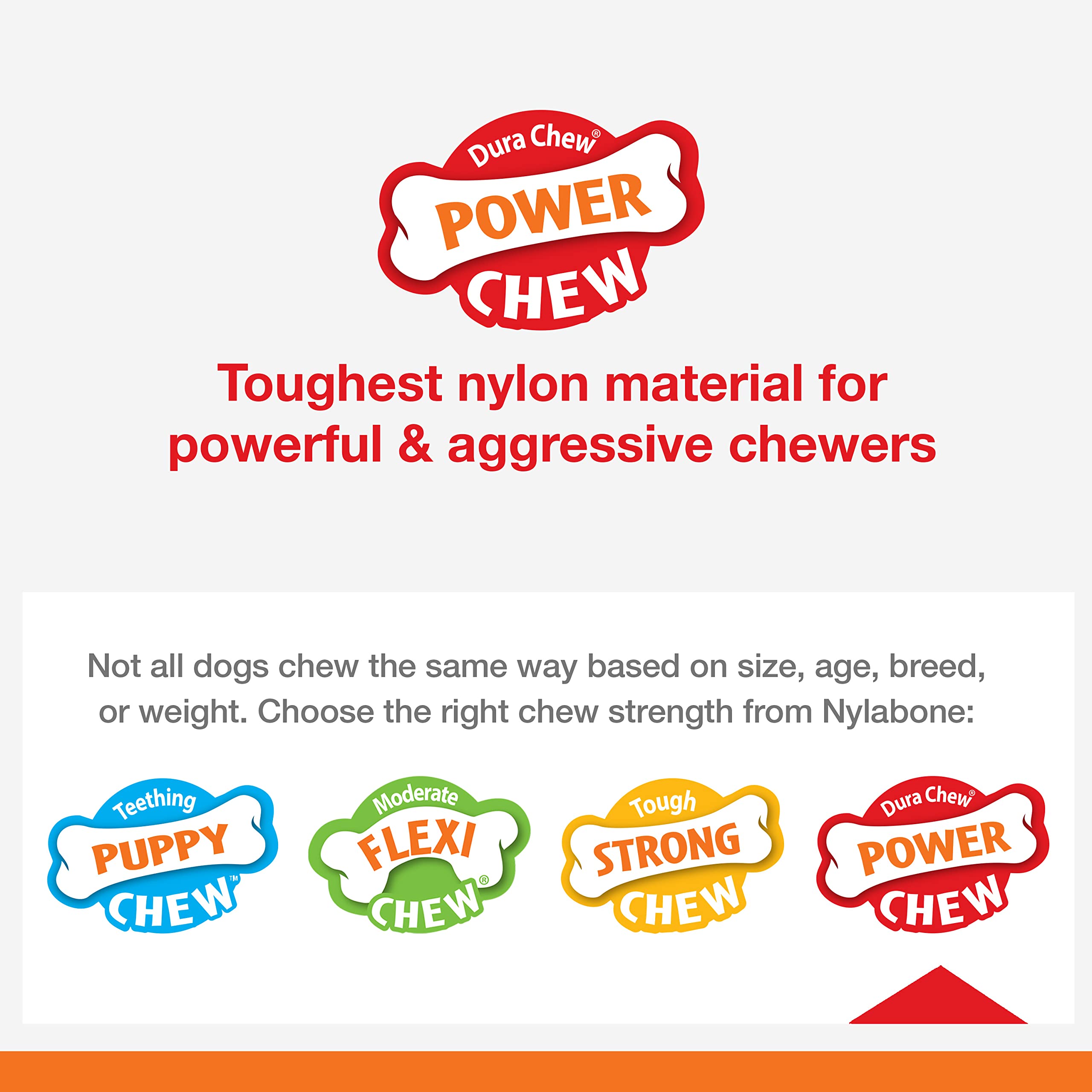 Nylabone toy designed to discourage destructive chewing in dogs