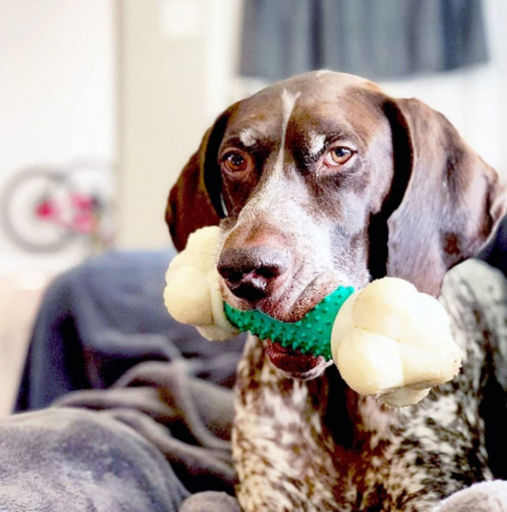 Nylabone Double Action Bone Power Chew flavor image emphasizes bacon taste throughout the toy.