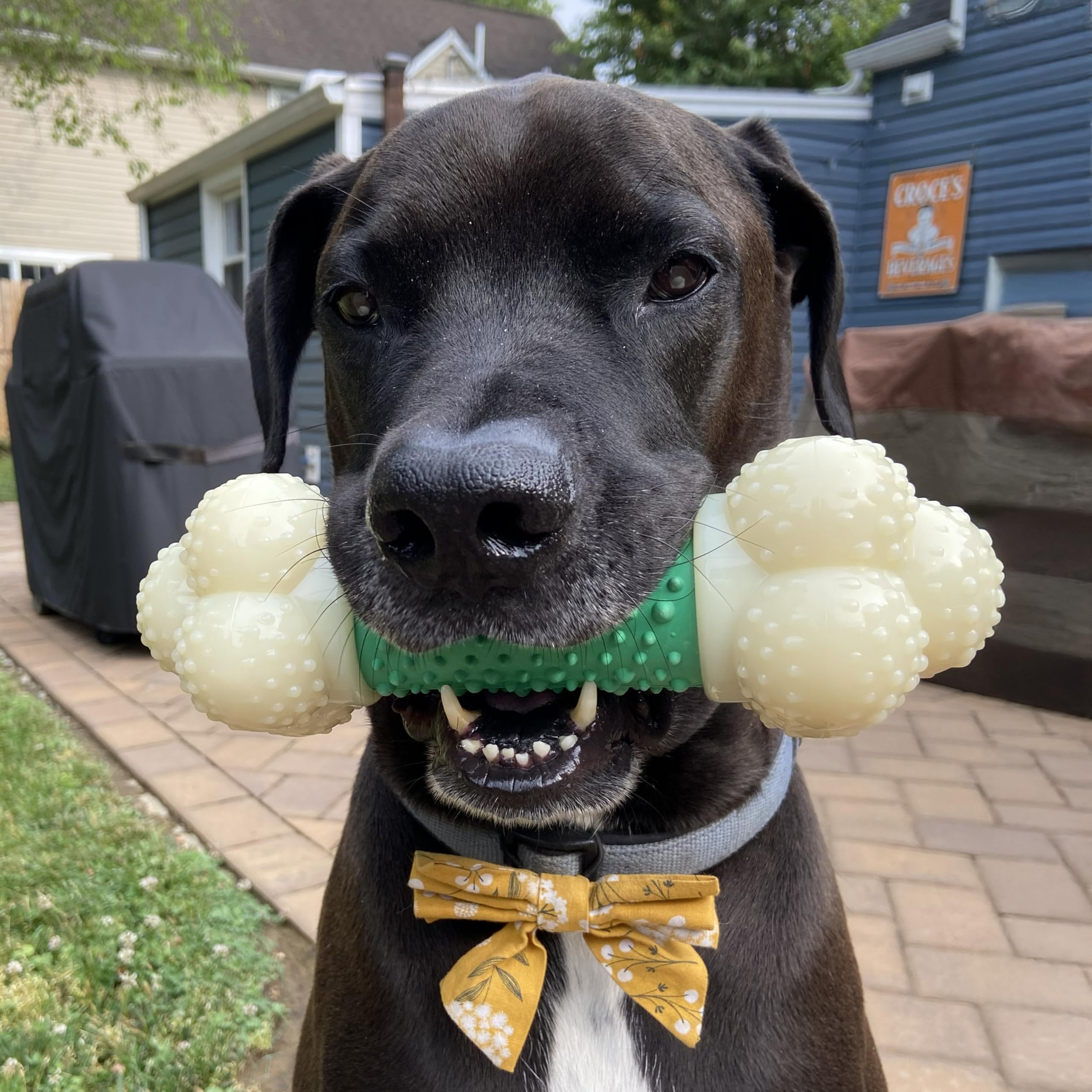 Nylabone Double Action Bone Power Chew nylon-material image showcases durable construction.