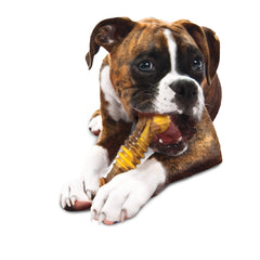Durable Nylabone chew toy designed for aggressive chewers.