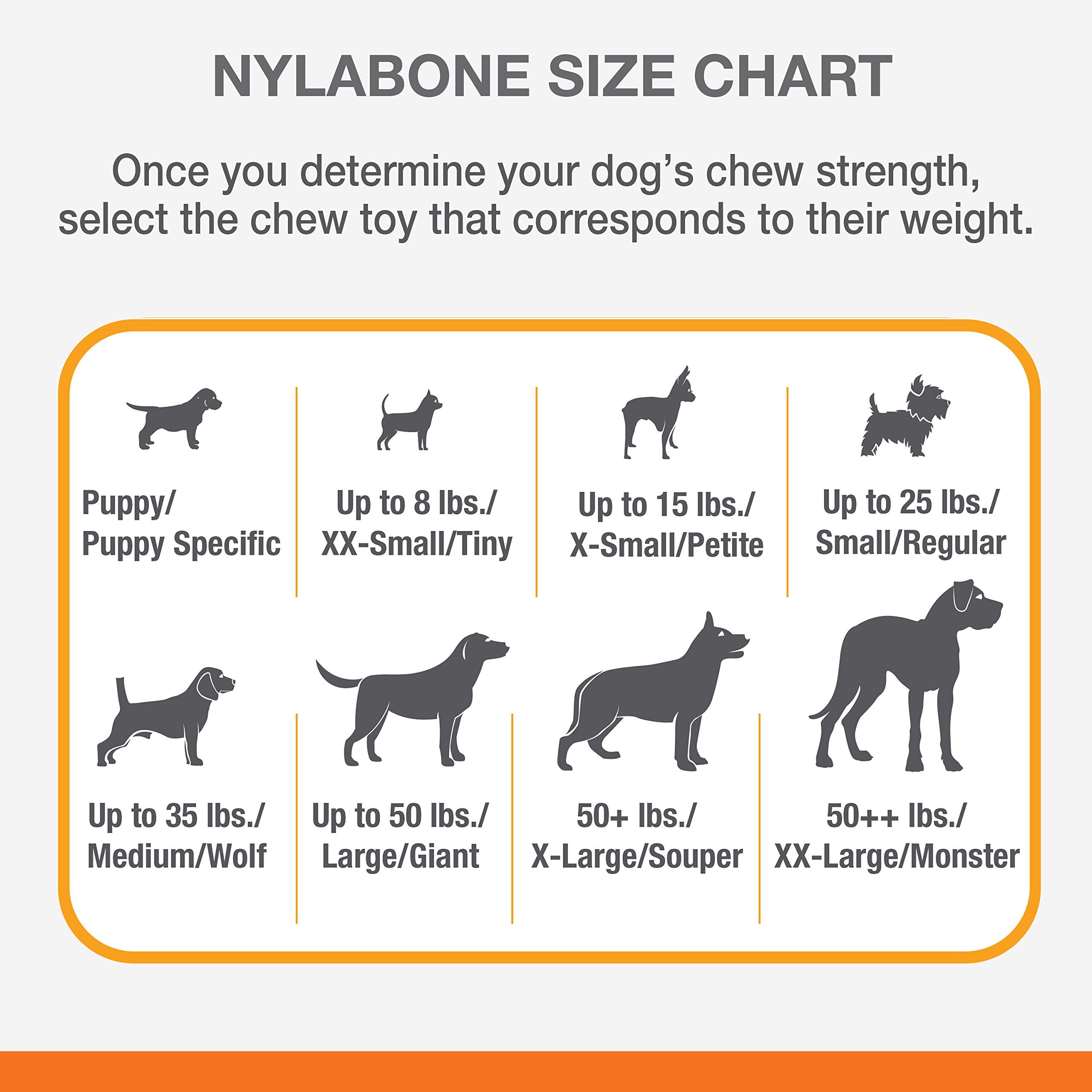 Nylabone 8-inch chew length shown for easy grasp.
