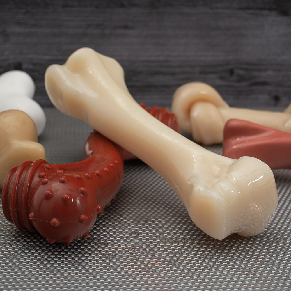 Nylabone extreme chew play scene capturing engaging chew time