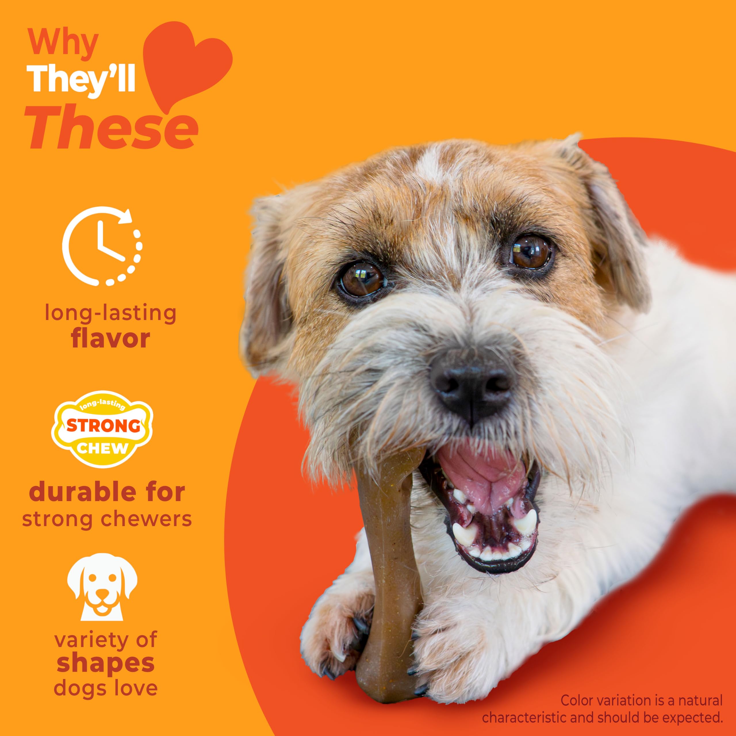 Nylabone Femur Bone chew with bison and venison for safe chewing