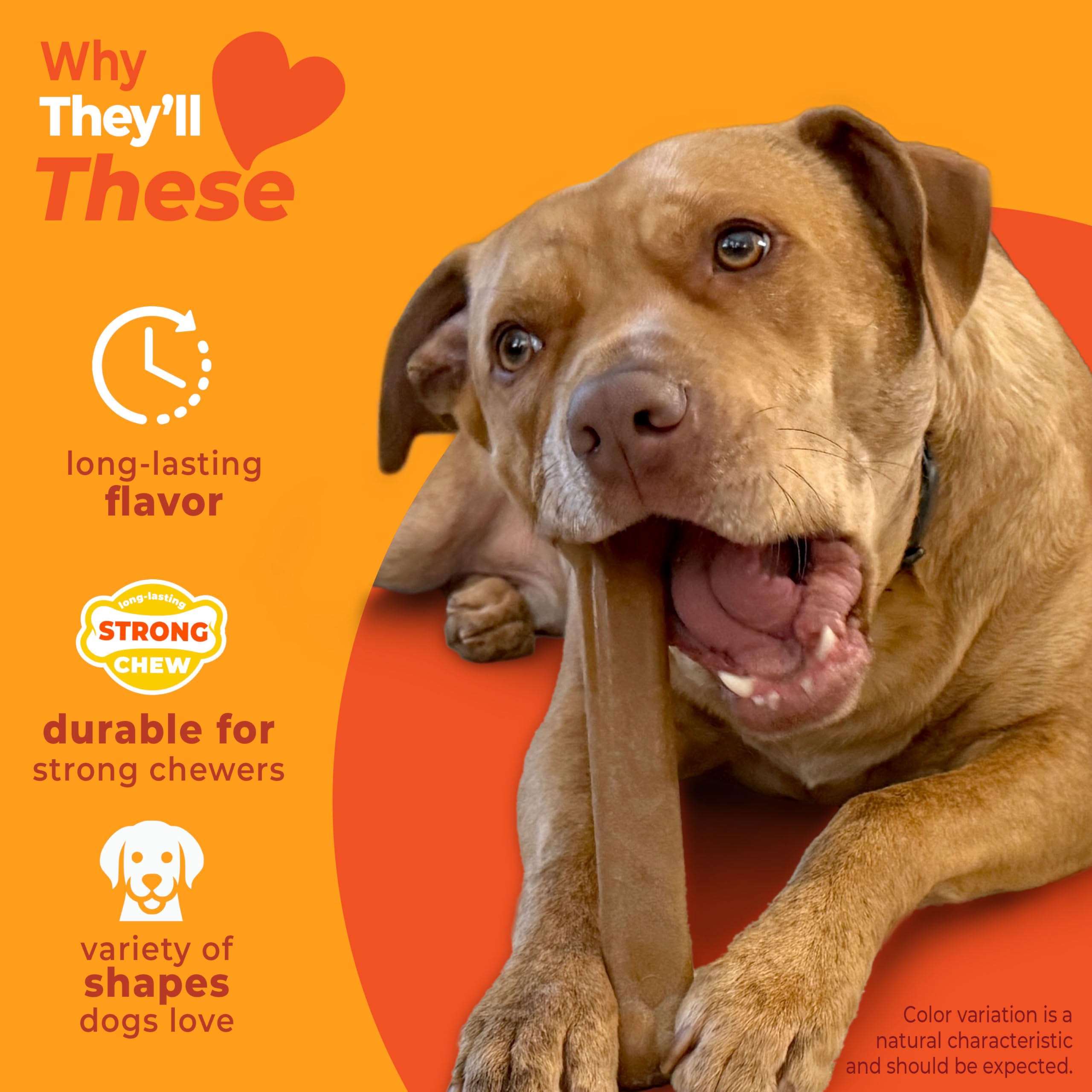 Nylabone femur bone toy with bison and venison flavors for gripping fun
