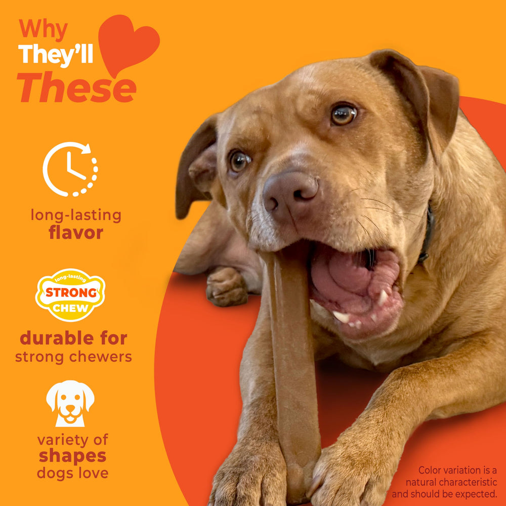 Nylabone femur bone toy with bison and venison flavors for gripping fun