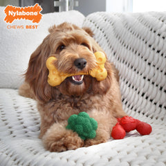 Nylabone Filet Mignon chew toy close-up highlighting long-lasting flavor and play.