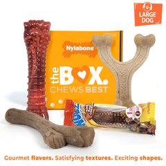 Nylabone Flavor Frenzy Chew Toy with beef jerky flavor.