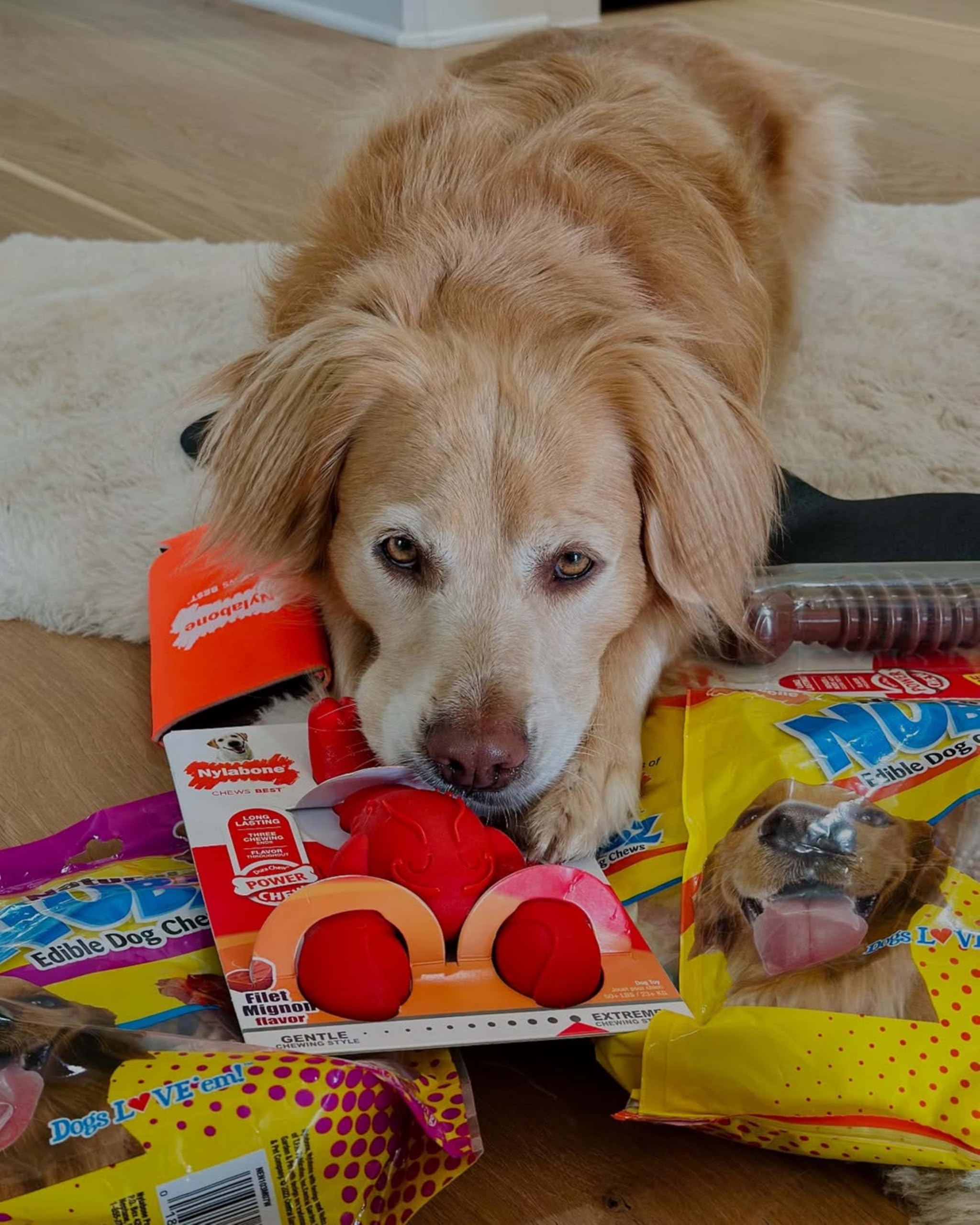 Nylabone Power Chew Flavor Medley infused throughout for lasting taste