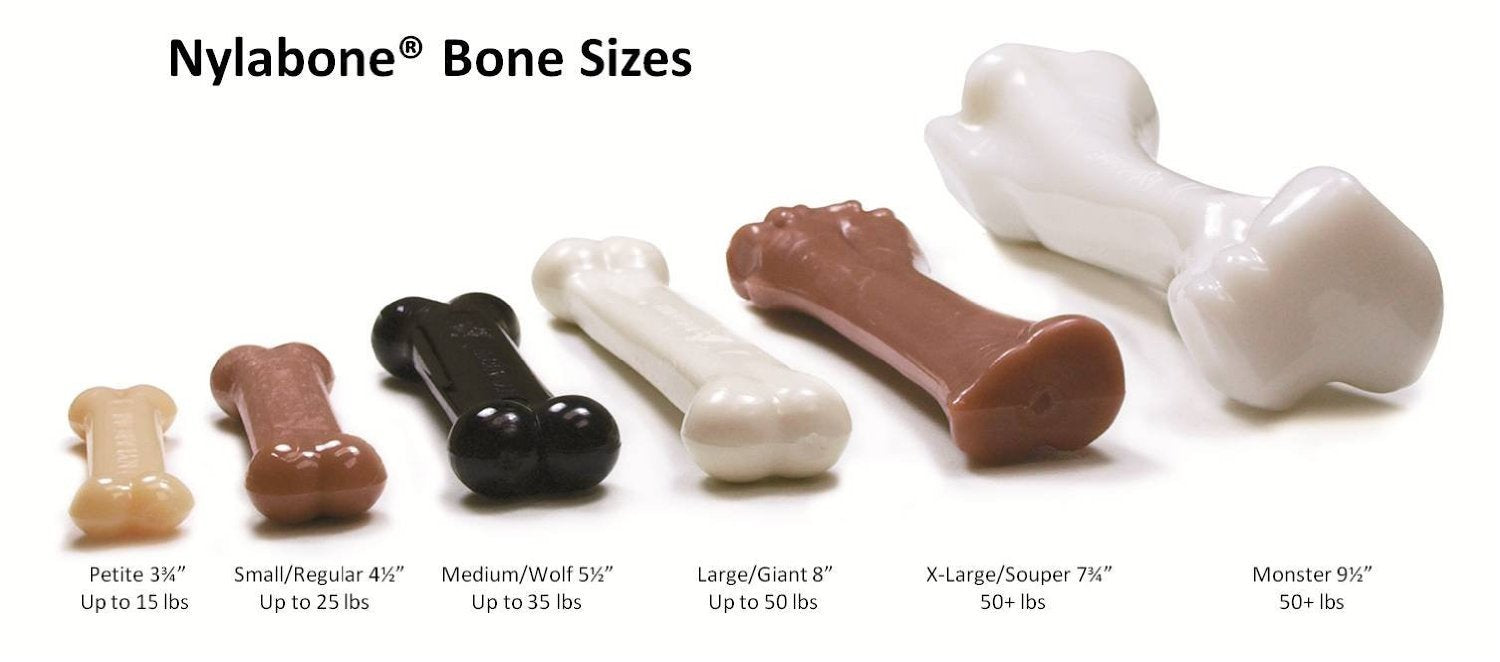 Nylabone FlexiChew bone with bristles helps clean teeth during chewing.