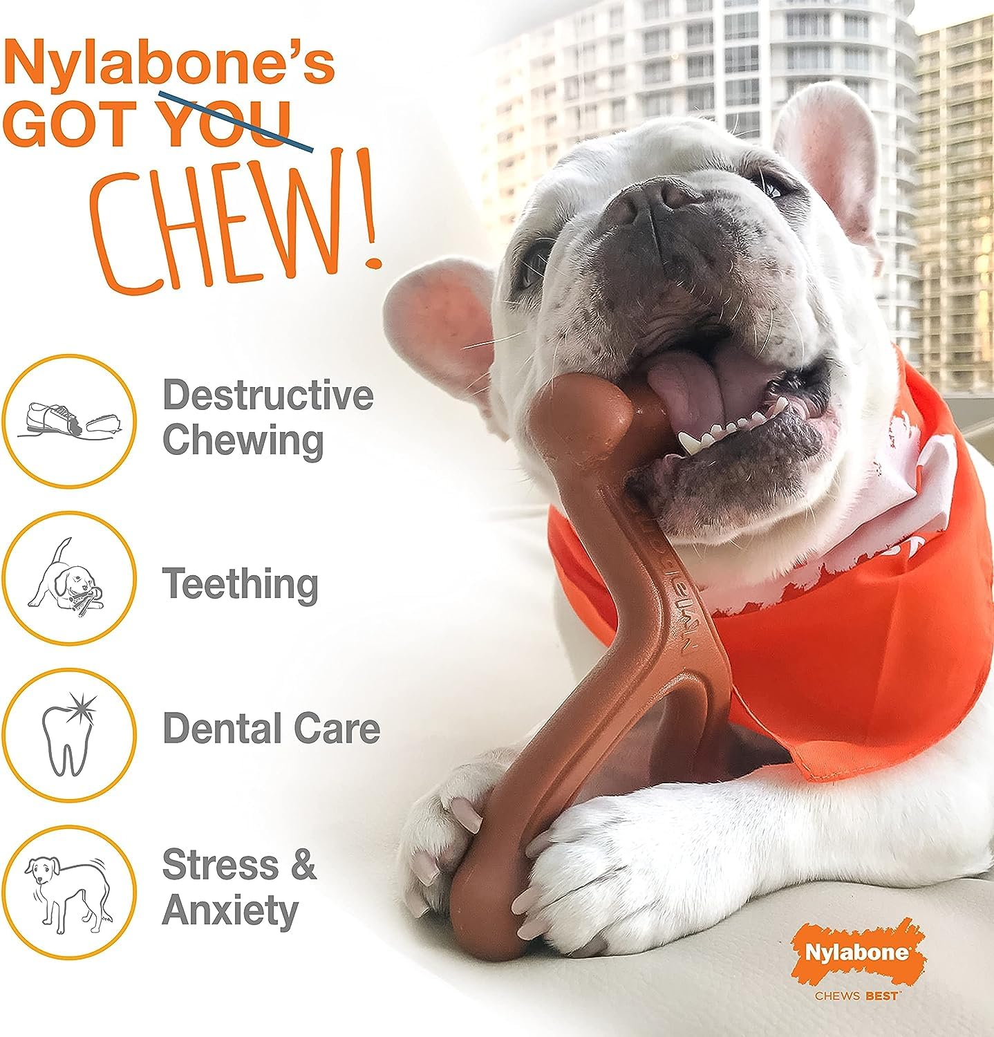 Nylabone giant size chew toy for dogs up to 50 pounds.