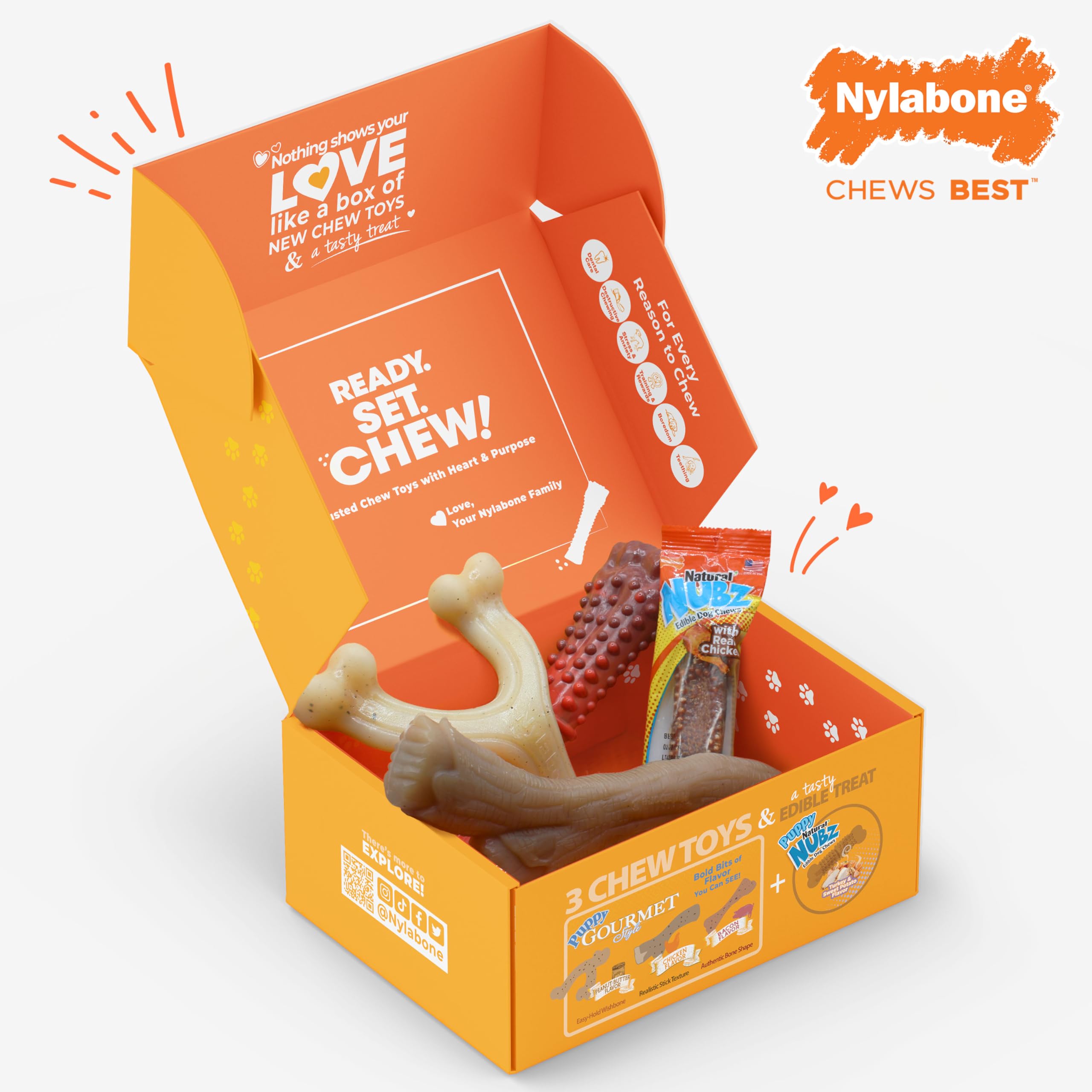 Nylabone gift box packaging showing three chews and one treat.