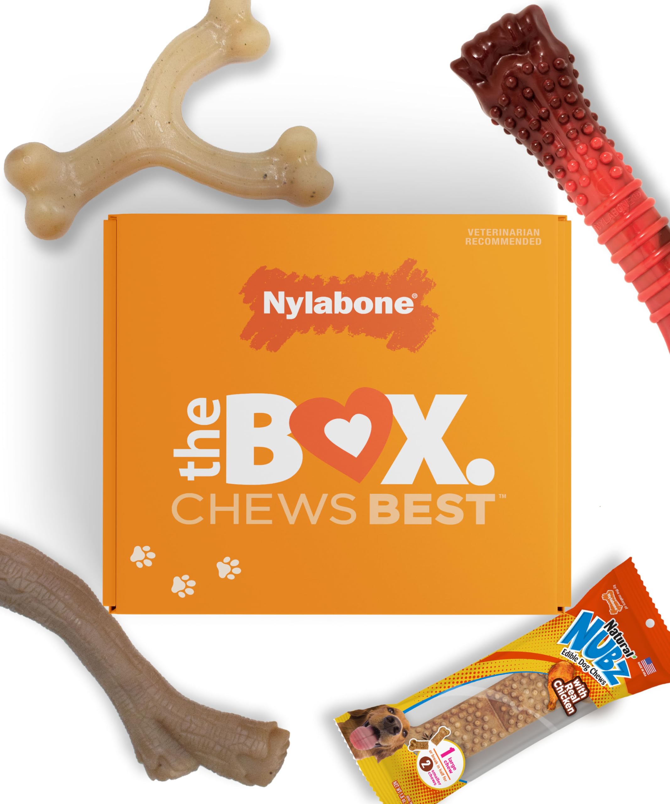 Nylabone Gourmet Style Wishbone Chew Toy for durable daily chewing.