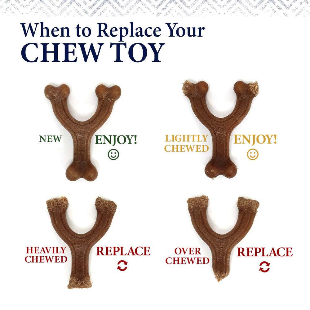 Nylabone Gourmet Style for X-Large dogs over 50 pounds, heavy chewer friendly.