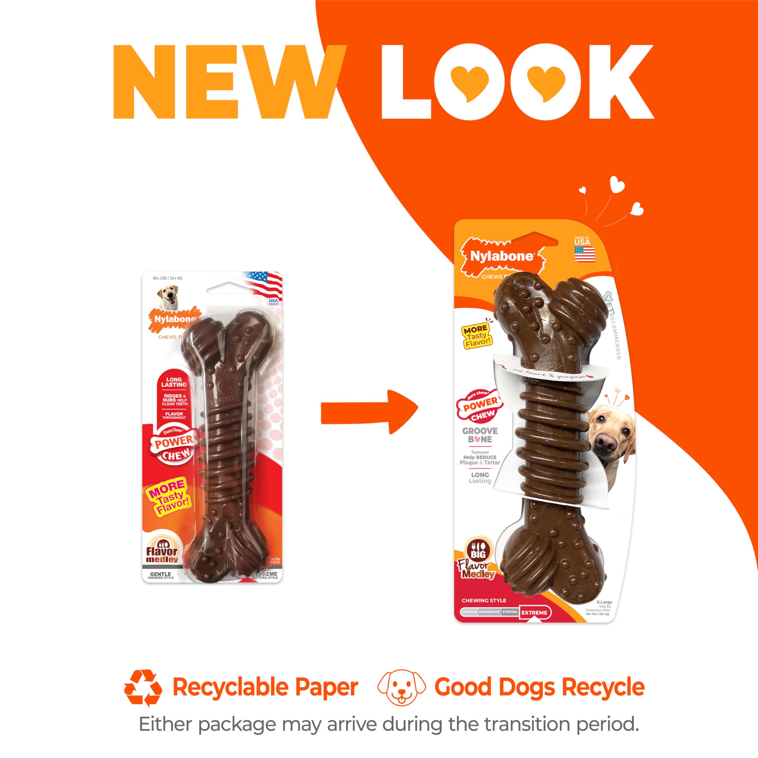 Nylabone textured dental bone showcasing toughness for aggressive chewers
