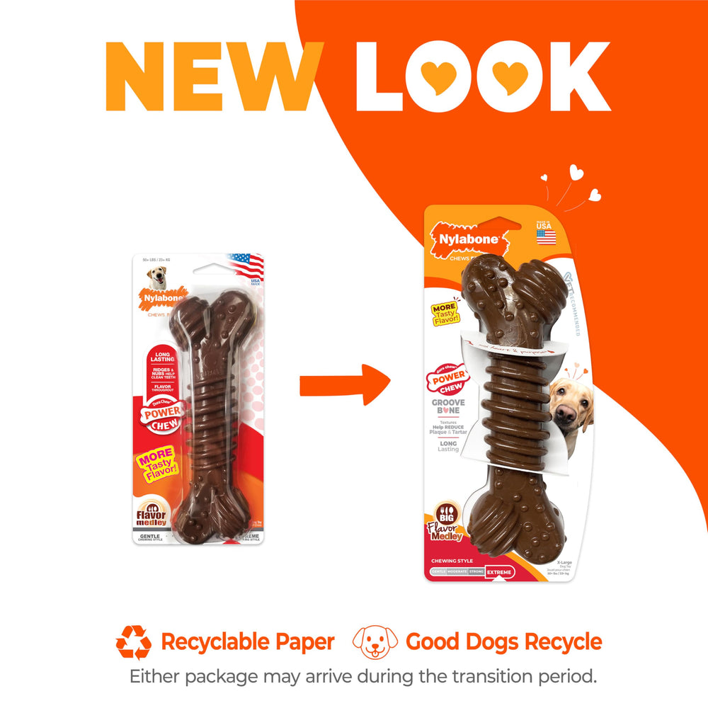 Nylabone textured dental bone showcasing toughness for aggressive chewers