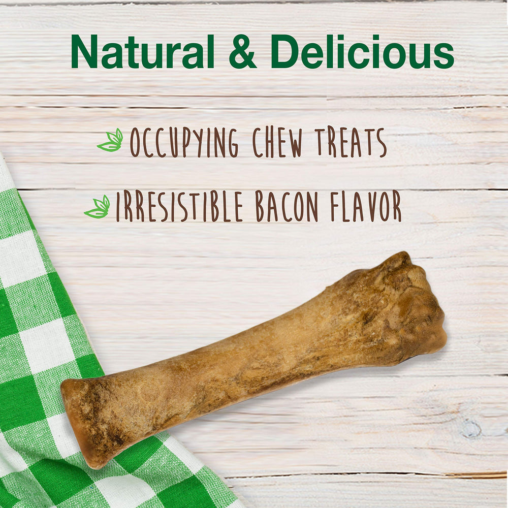 Nylabone Healthy Edibles roast beef chicken bone chew ideal for training rewards