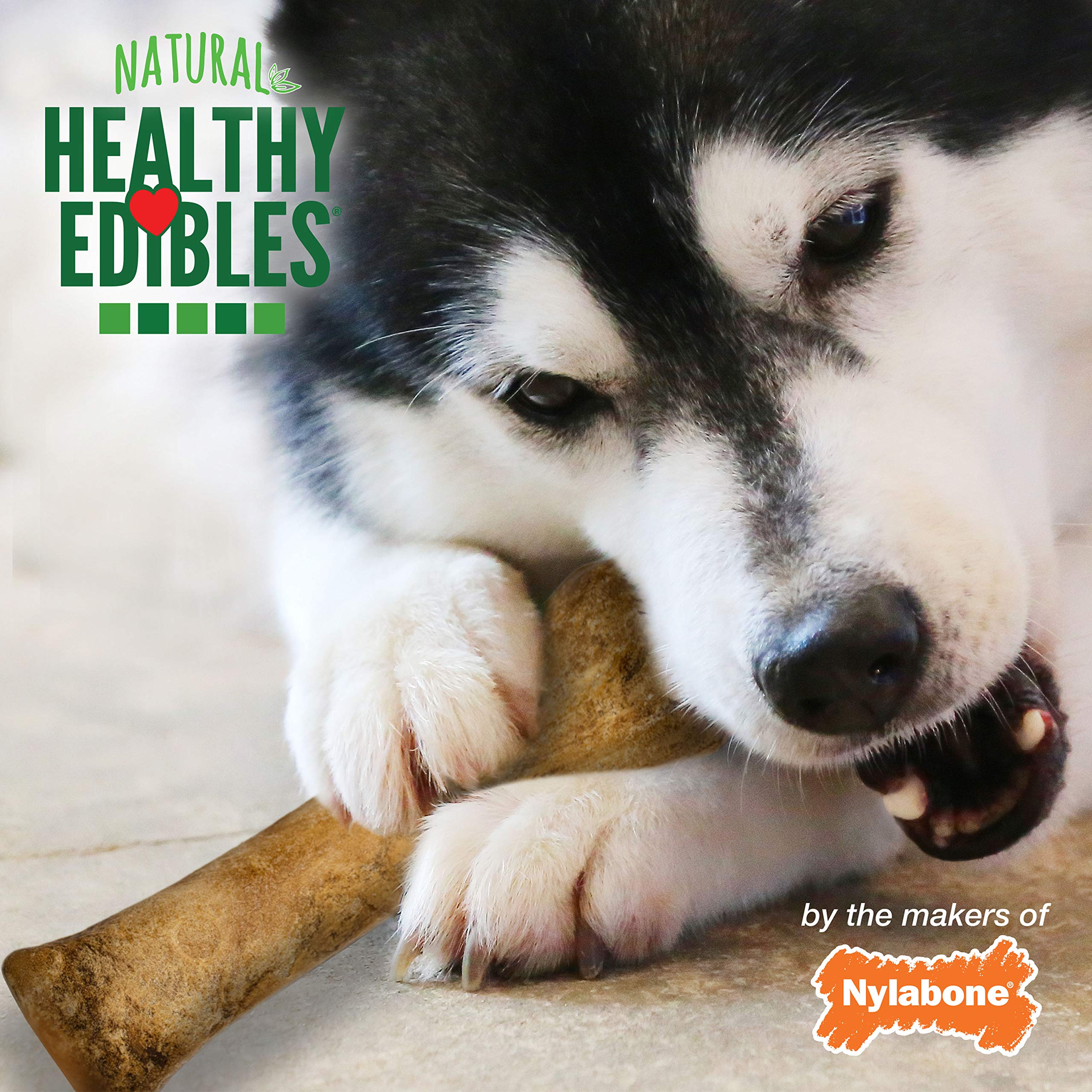 Nylabone Healthy Edibles roast beef chicken bone chew without artificial colors flavors preservatives