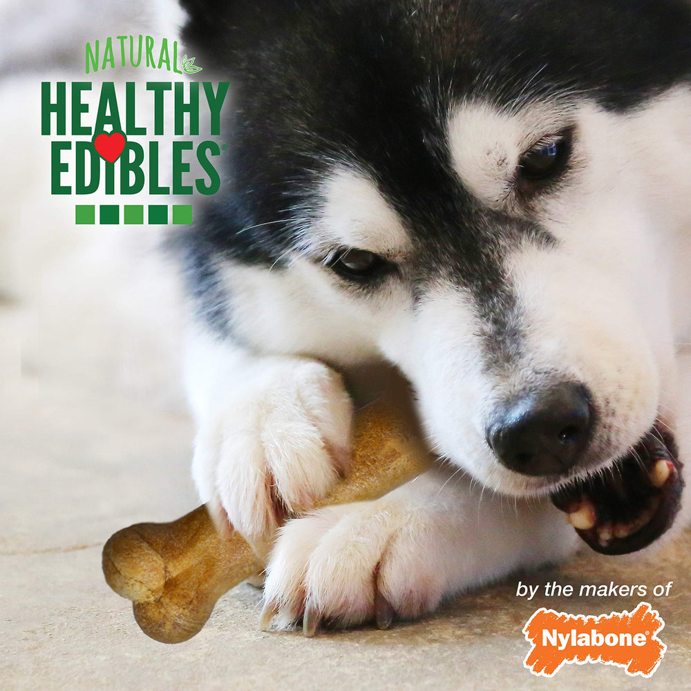 Nylabone Healthy Edibles roast beef flavor bag open, premium ingredients showcase.