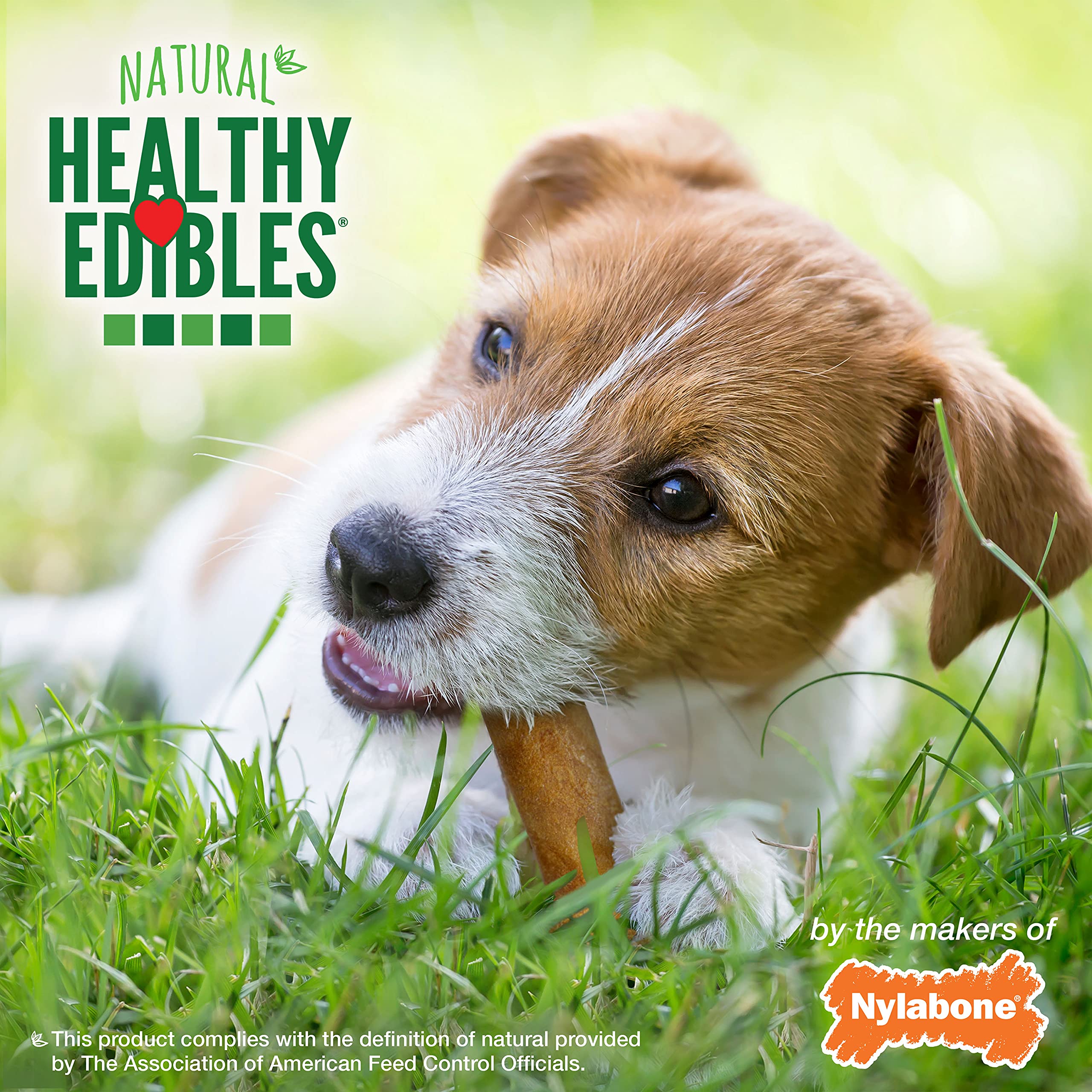 Nylabone Healthy Edibles training chews for dogs during practice