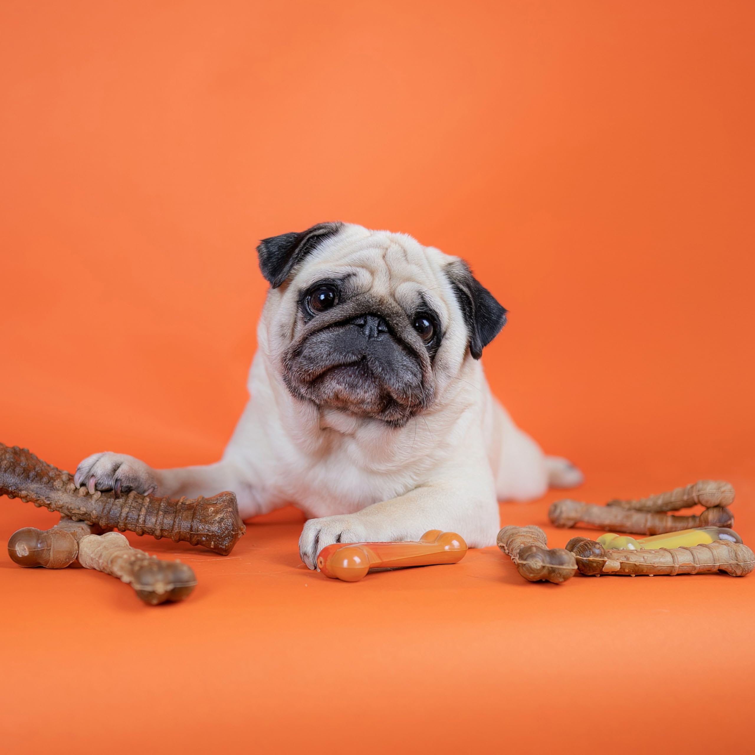 Nylabone Healthy Edibles variety bundle with three flavors