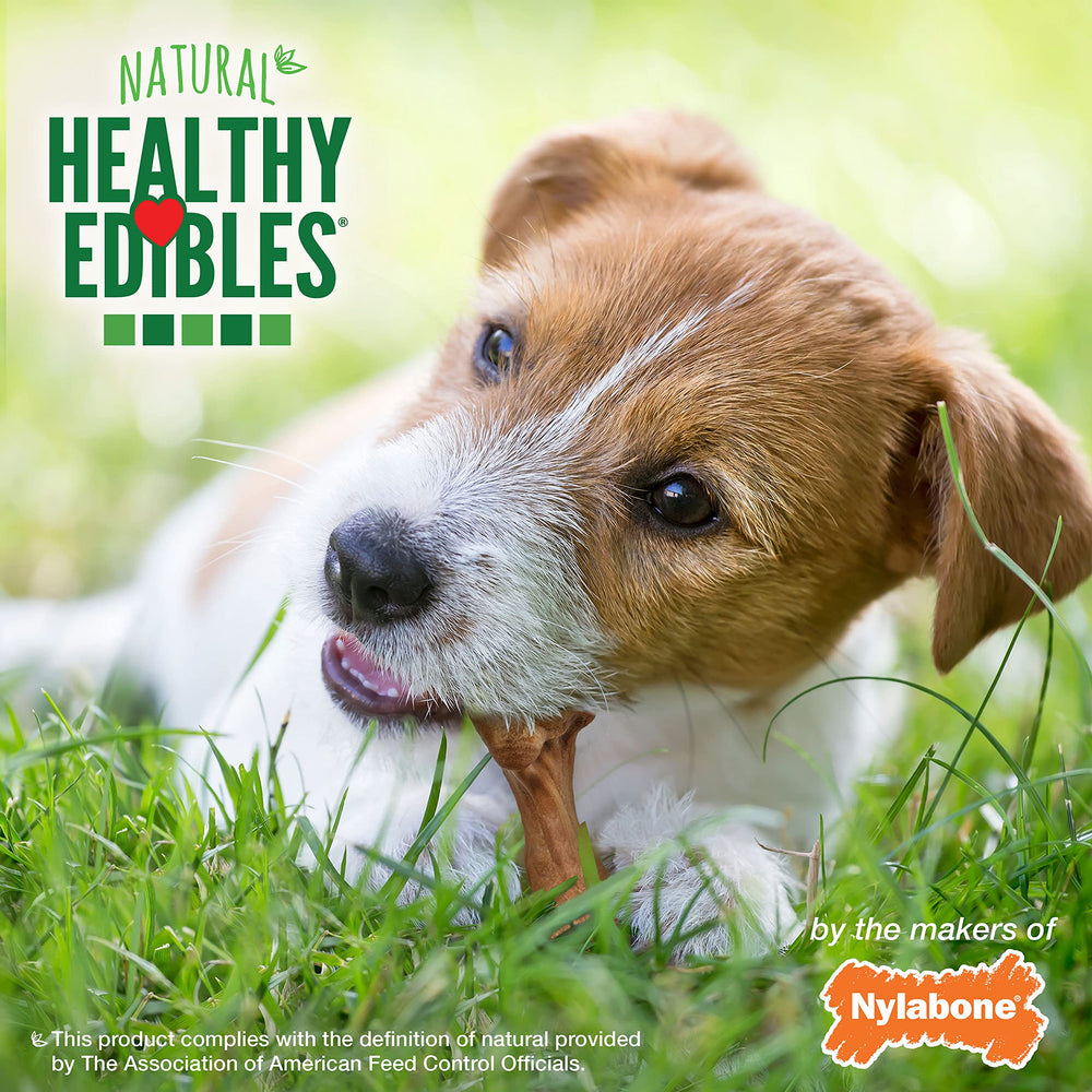 Nylabone Healthy Edibles Wild small-dog chew—promotes oral hygiene during daily chews.
