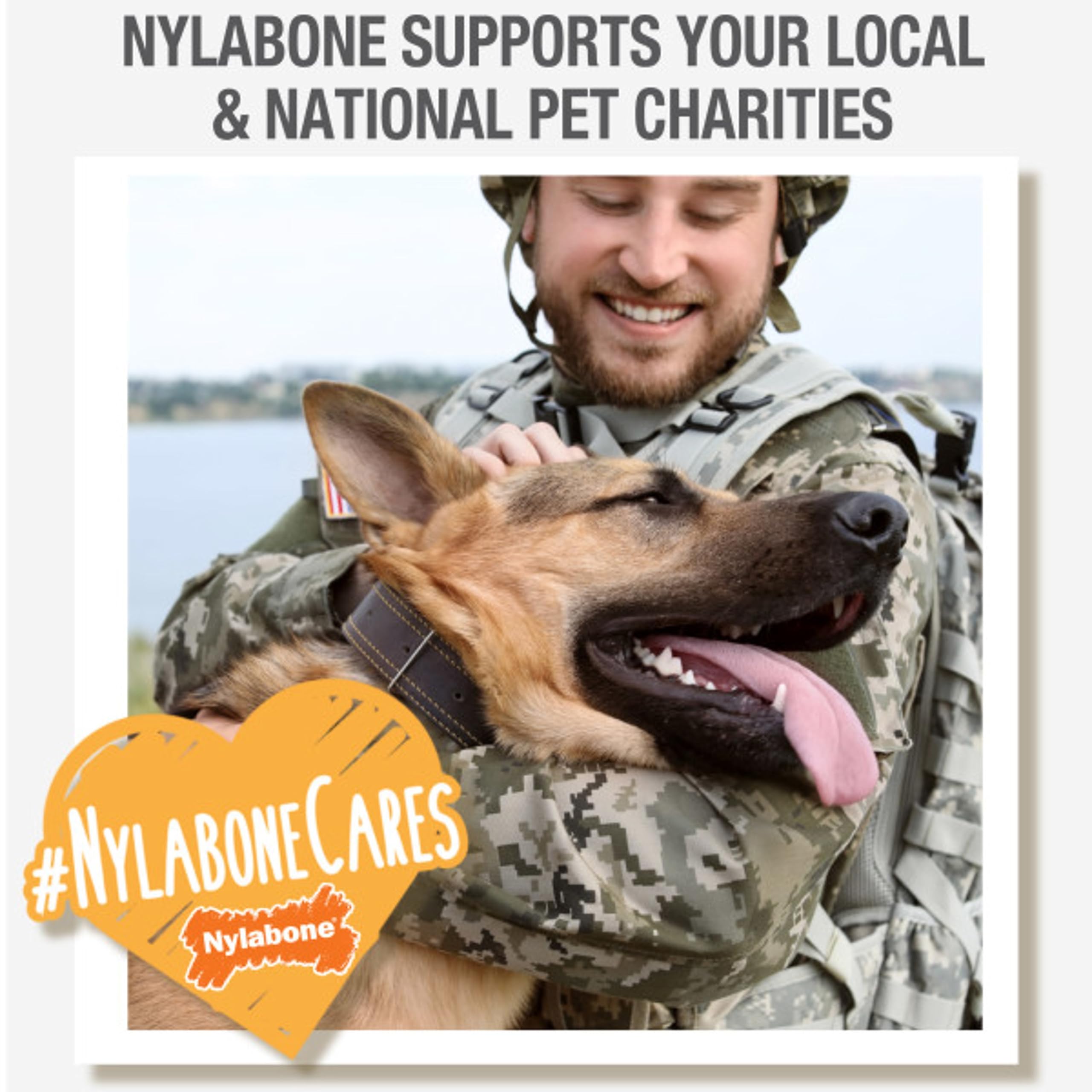 Nylabone Knuckle Bone designed for large dogs up to 50 lbs to stay engaged.