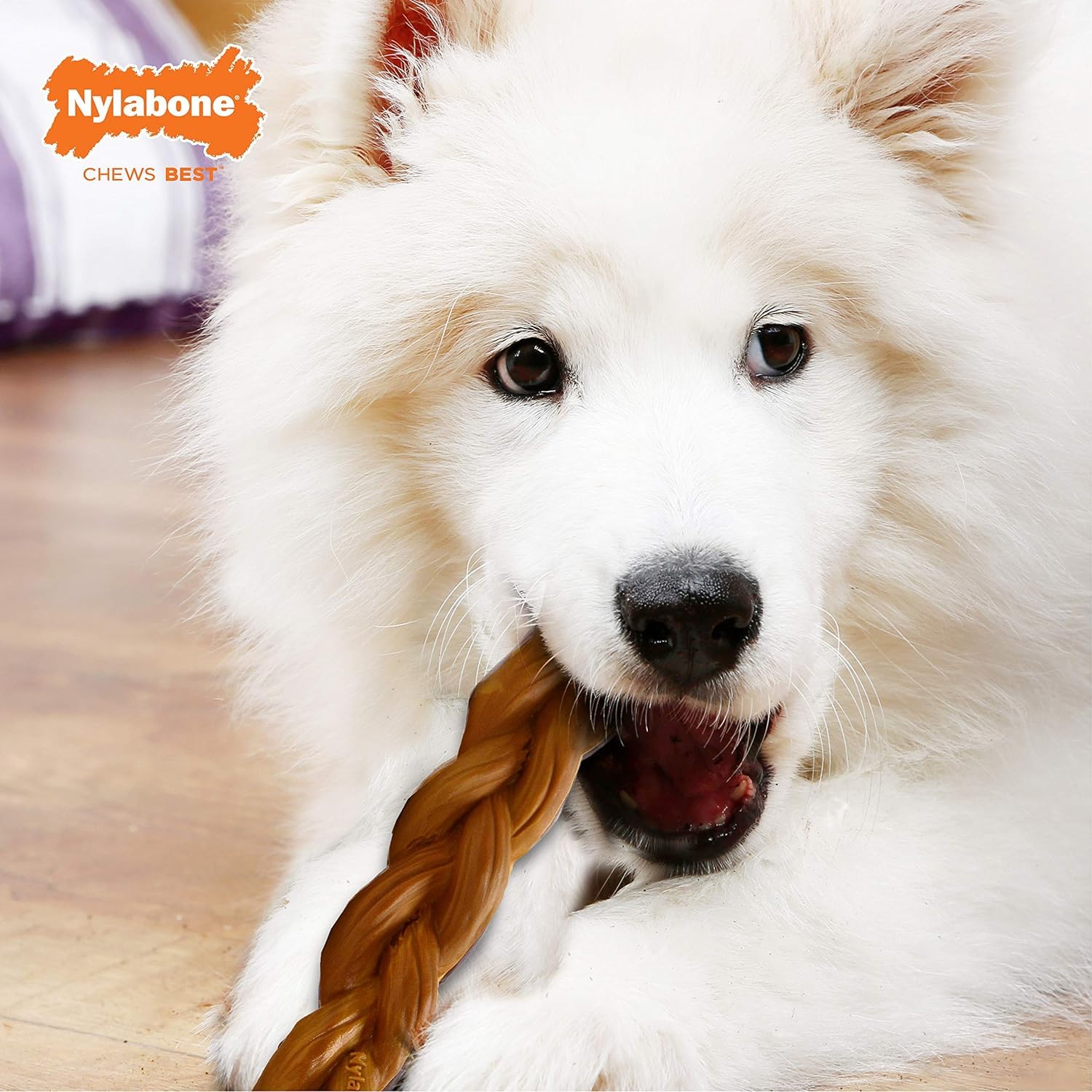 Nylabone large toy for dogs up to 50 lbs helps manage strong chewers.