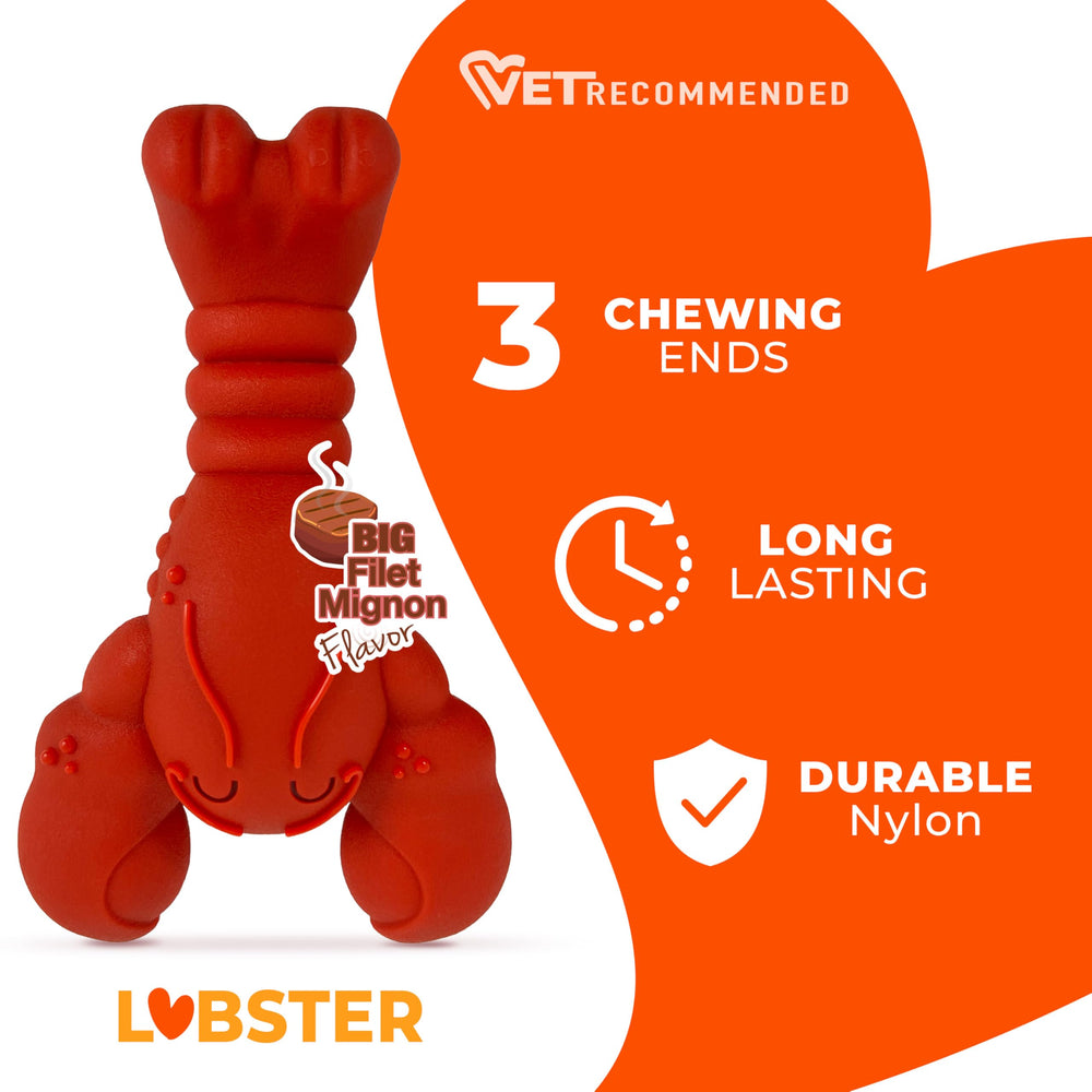 Nylabone Lobster-textured-surface helps clean teeth during chewing sessions.