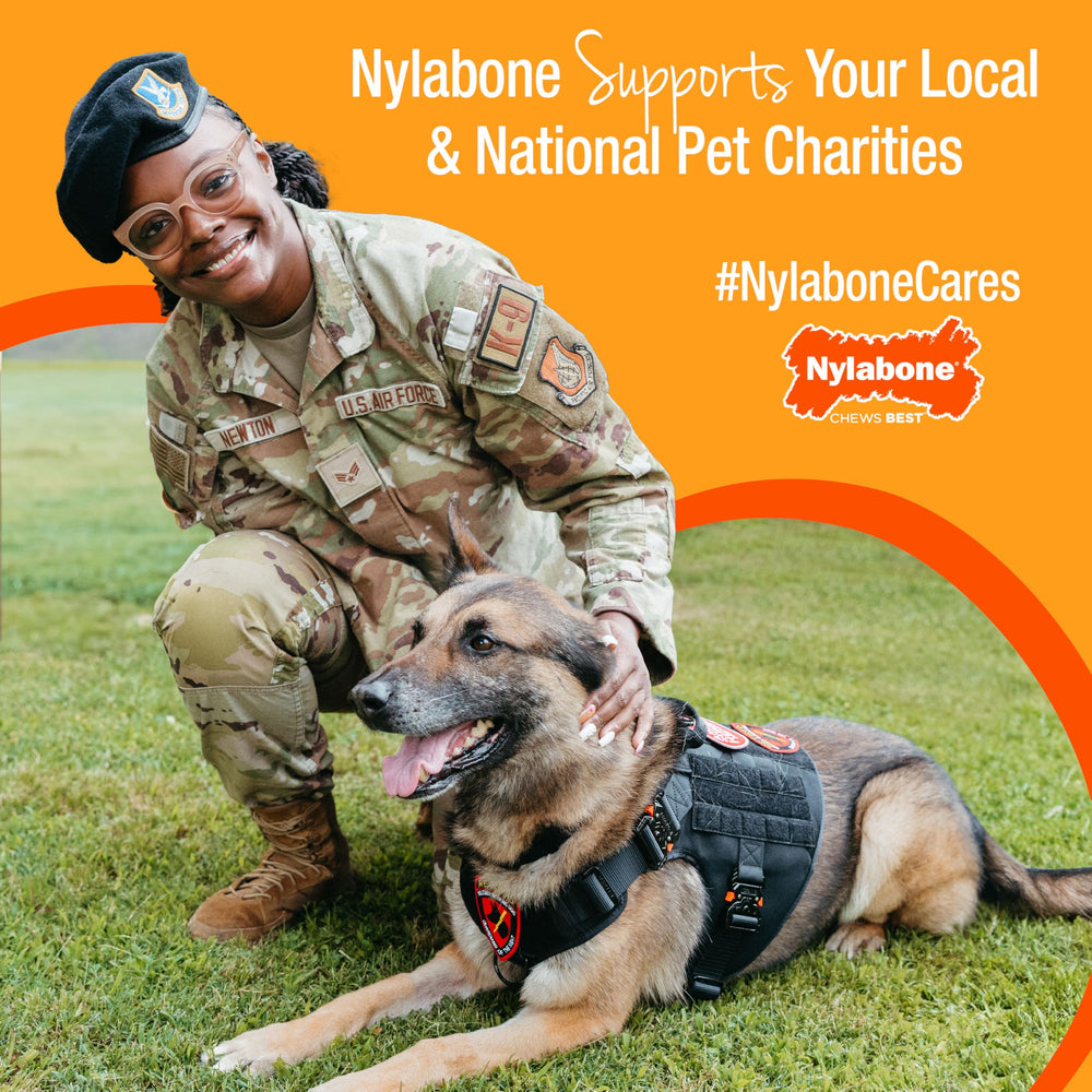 Nylabone made in USA New Jersey label visible.