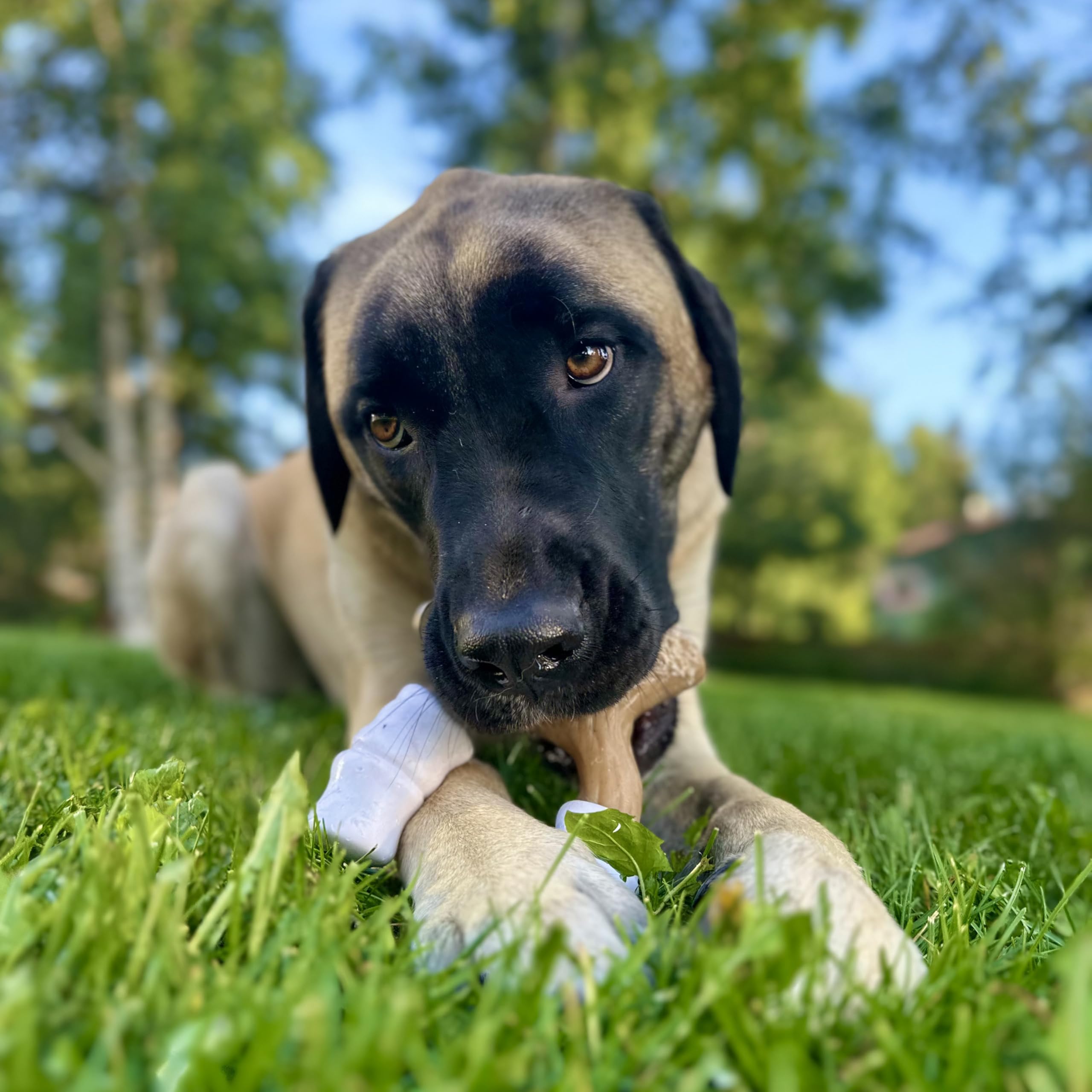 Nylabone Marshmallow Stick side view shows three chewing ends for grip