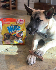 Nylabone Nubz chicken-flavor dog chew close-up for big dogs