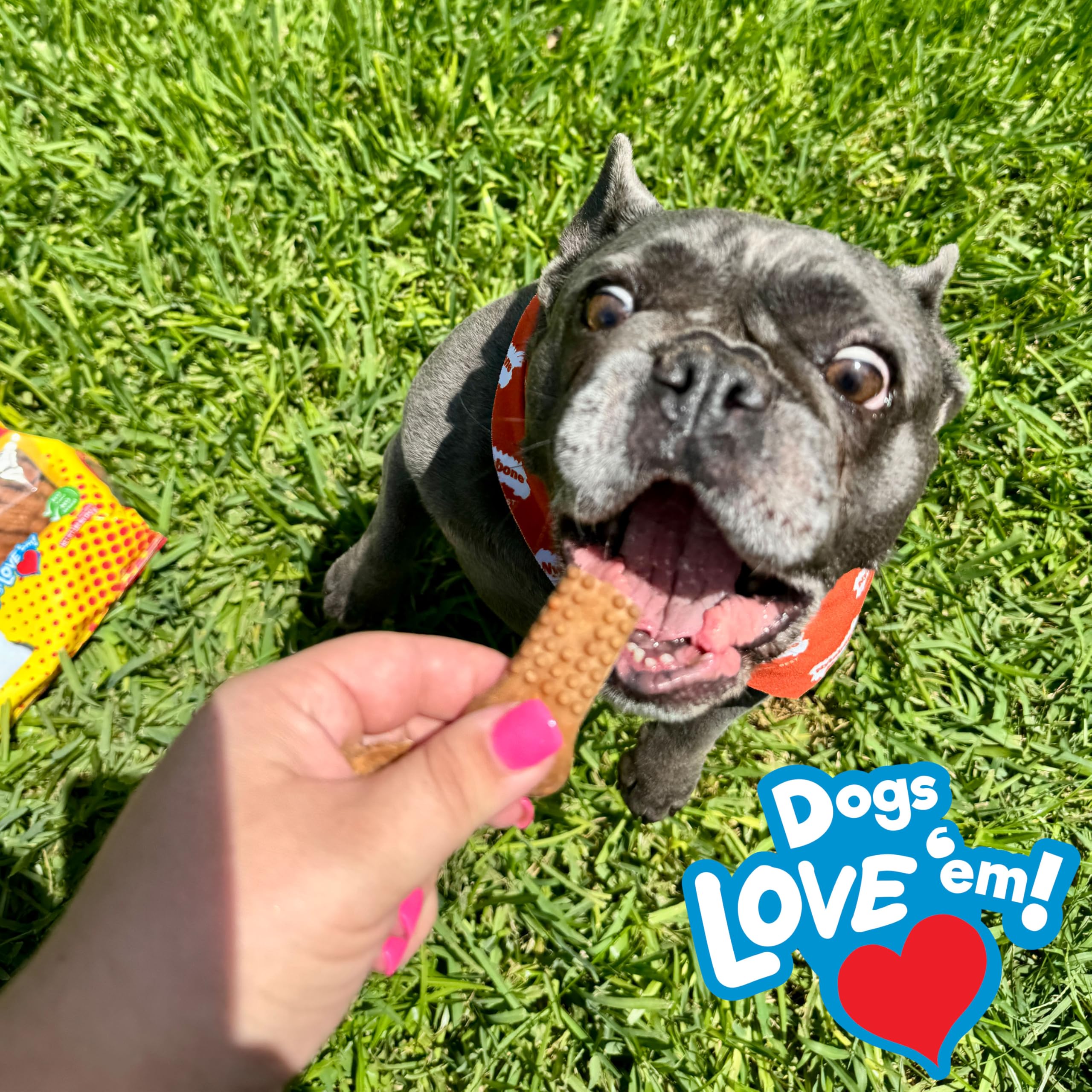 Nylabone Nubz bacon-cheese bursts, irresistible flavor for pups.