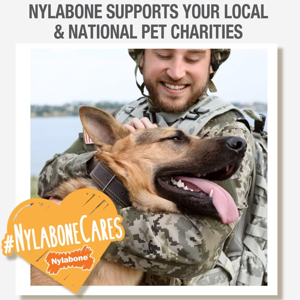 Nylabone Nubz Edibles Antler venison flavor for tasty rewards.