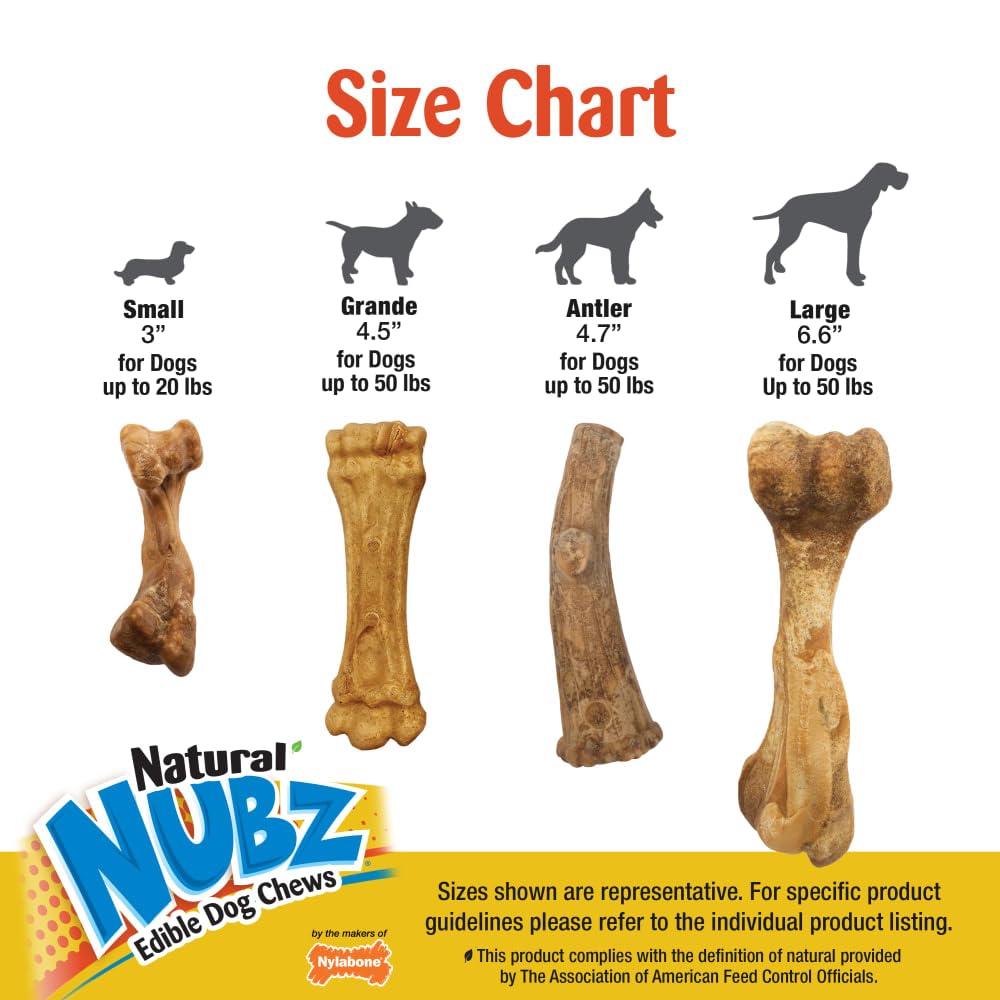 Nylabone Nubz Edibles Antler flavor helps training with treats.