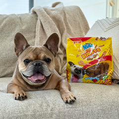 Nylabone Nubz grain-free, corn-free recipe bones for sensitive diets.