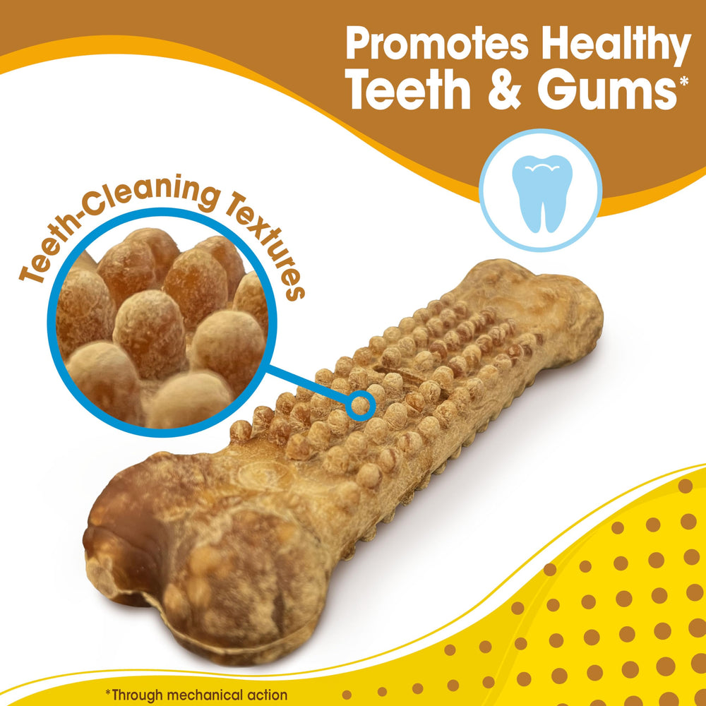 Nylabone Nubz long-lasting chew action for strong chewers
