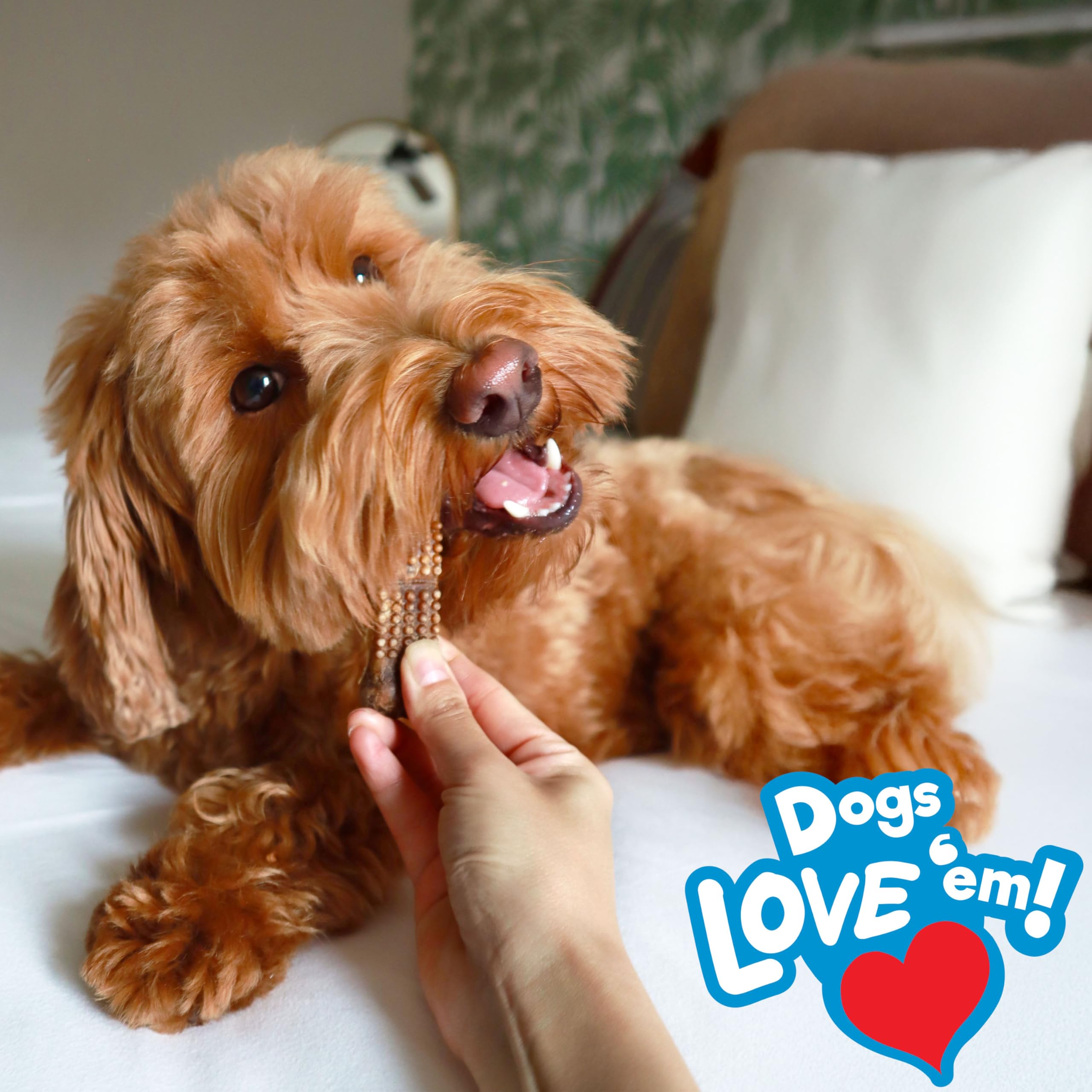 Nylabone Nubz natural ingredients badge signals wholesome, trustworthy chew.