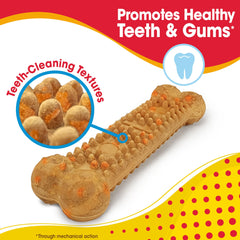 Nylabone Nubz real cheese and bacon bites, ideal for rewarding chewy play.