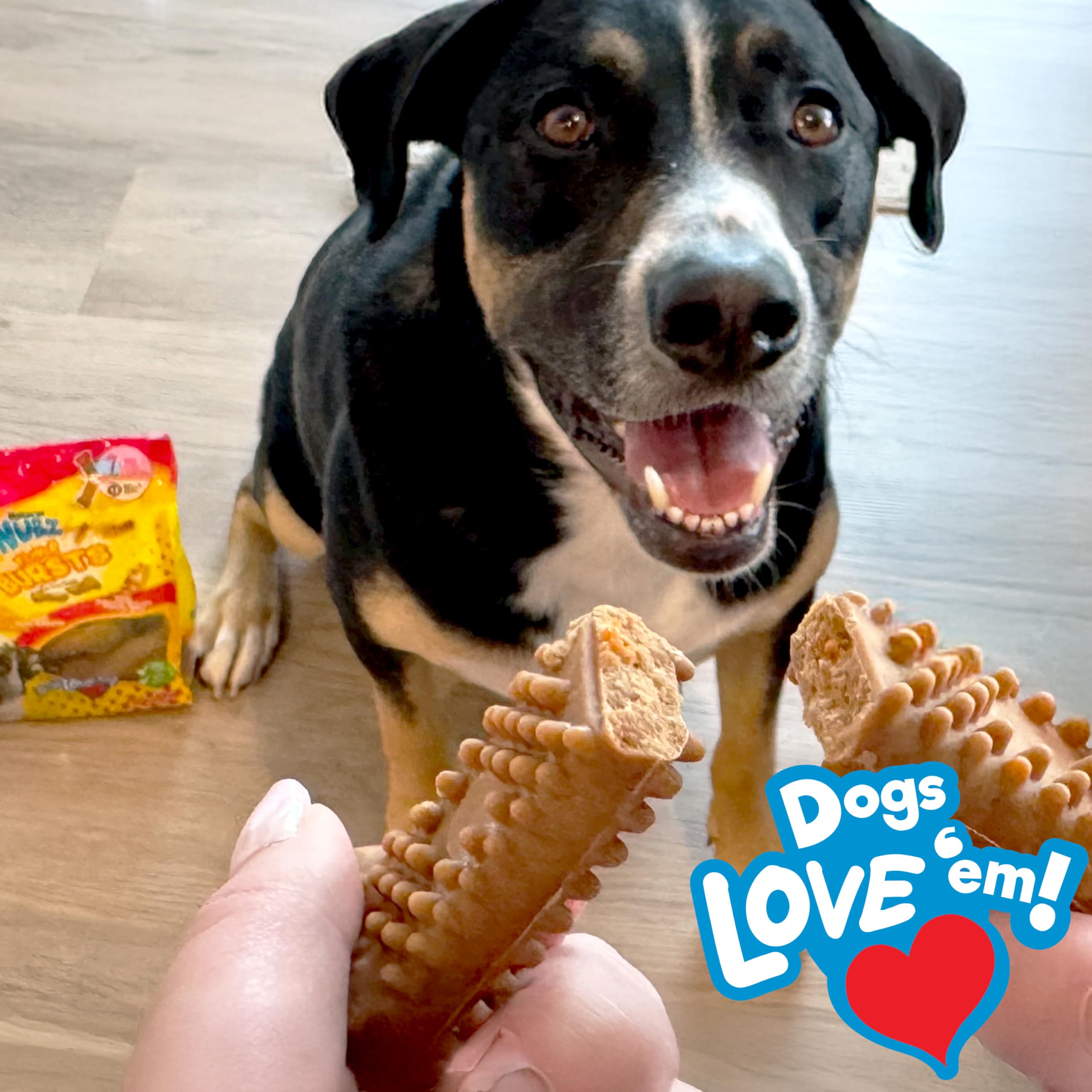 Nylabone Nubz textured surface designed for engaging chewing sessions.