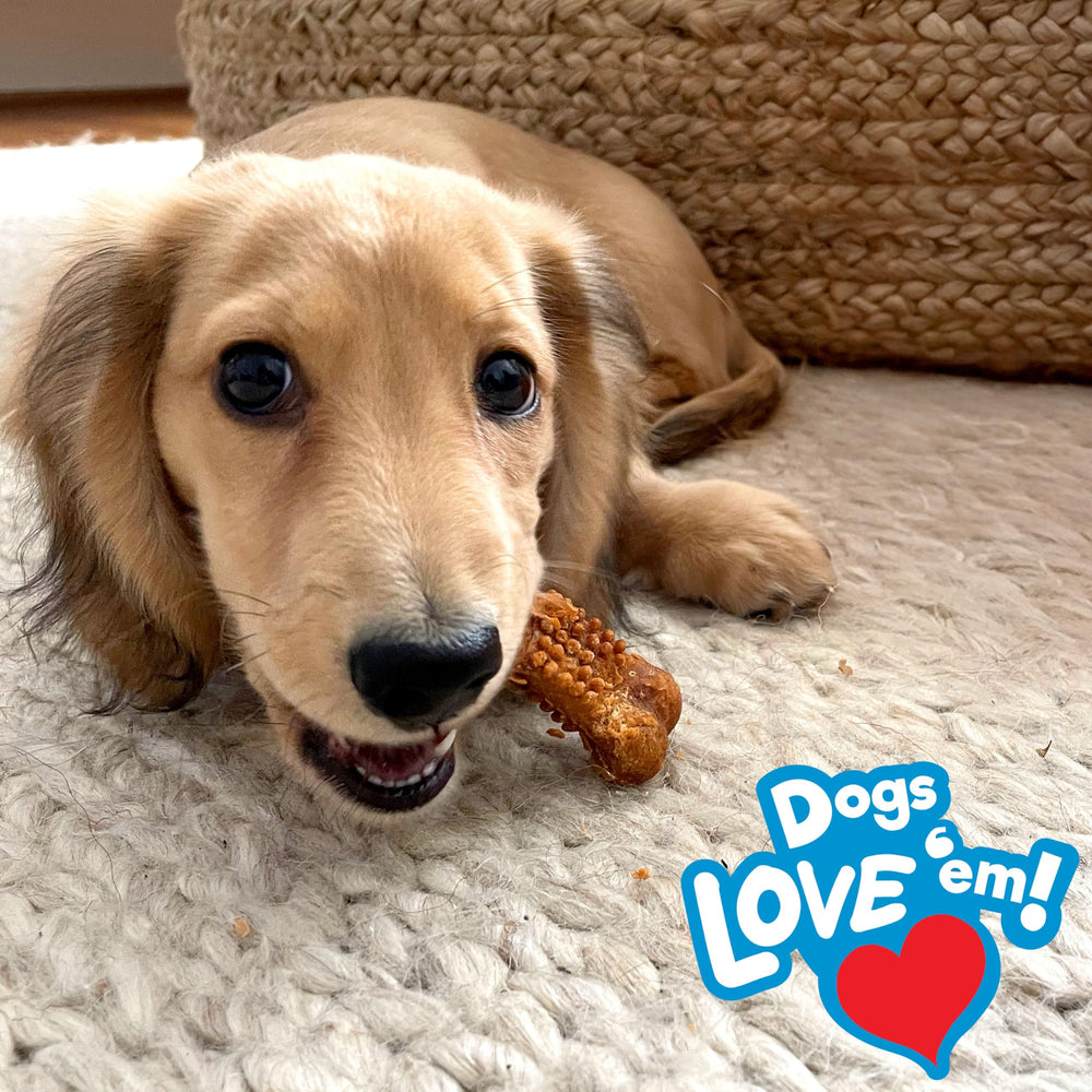 Nylabone Nubz USA-made puppy treats as premium rewards