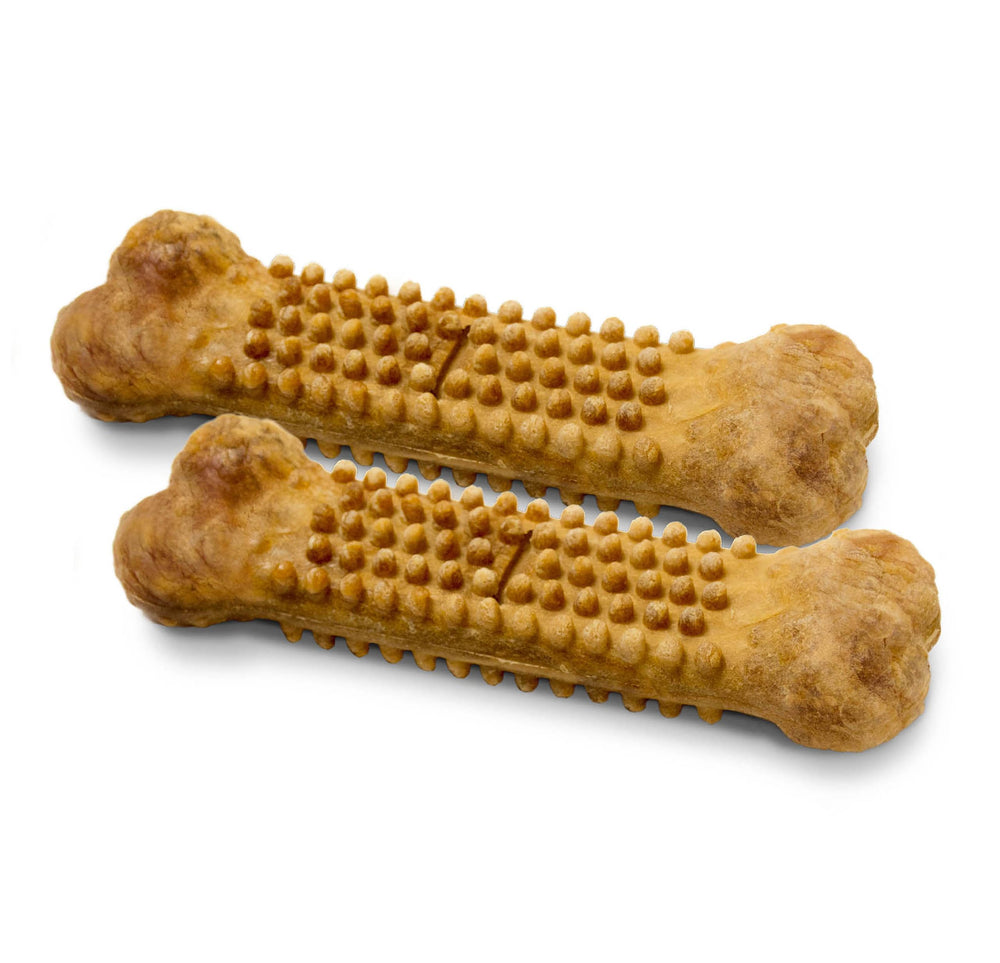 Nylabone Nubz turkey and sweet potato close-up, natural flavor