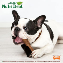Nylabone Nutri Dent 360-degree nubs close-up for comprehensive teeth cleaning.