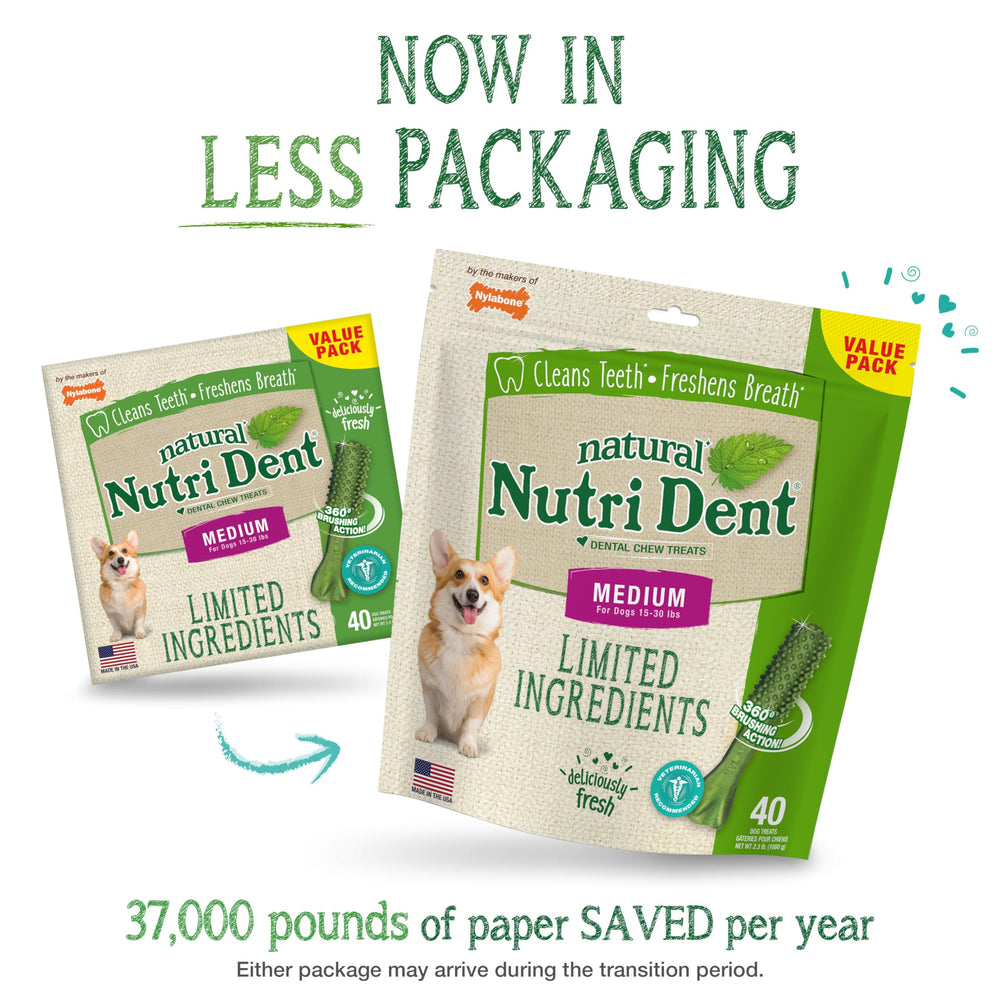 Close-up of Nutri Dent 360-degree scrubbing nubs on the chew.