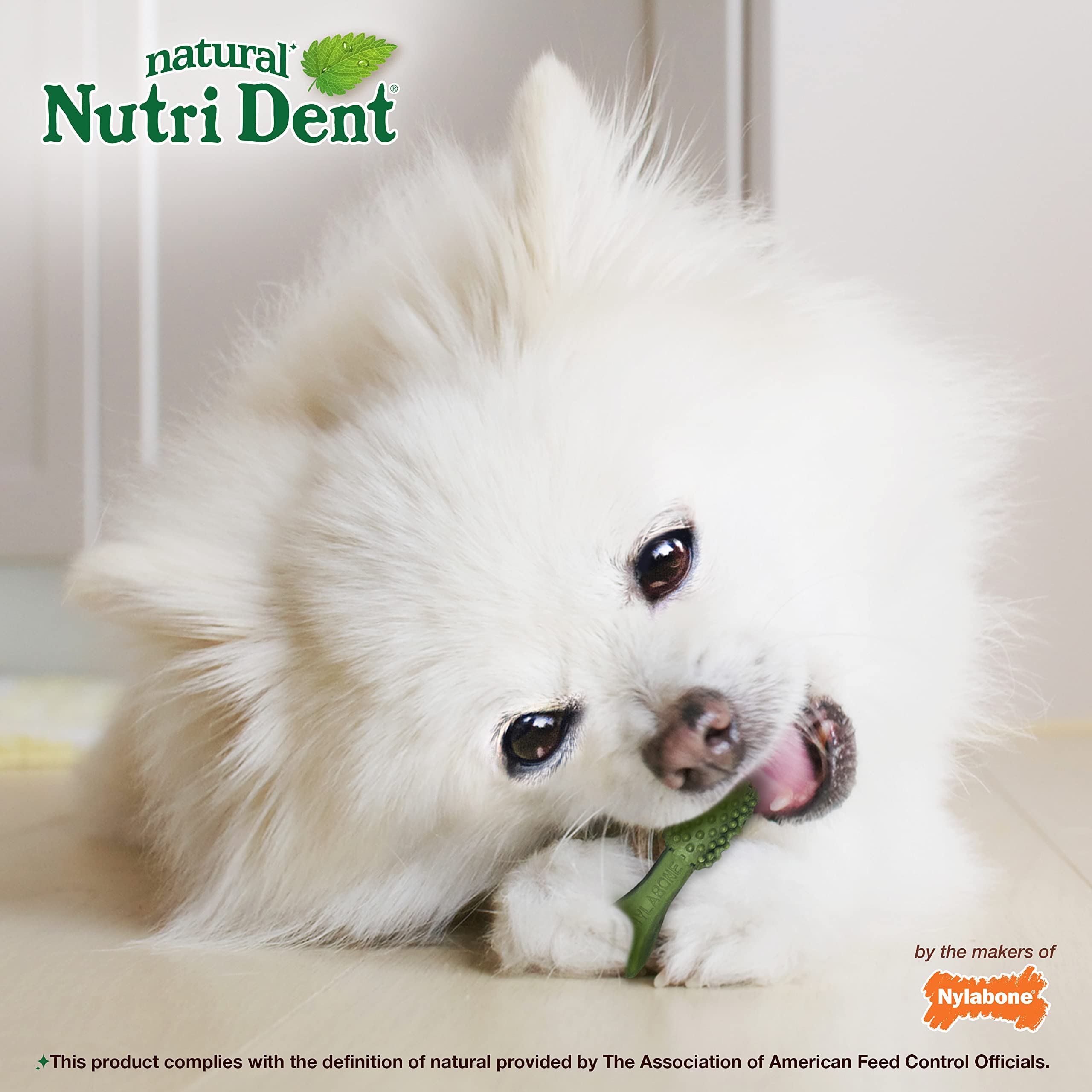 Nylabone Nutri Dent dental-care scrubbing action during chewing
