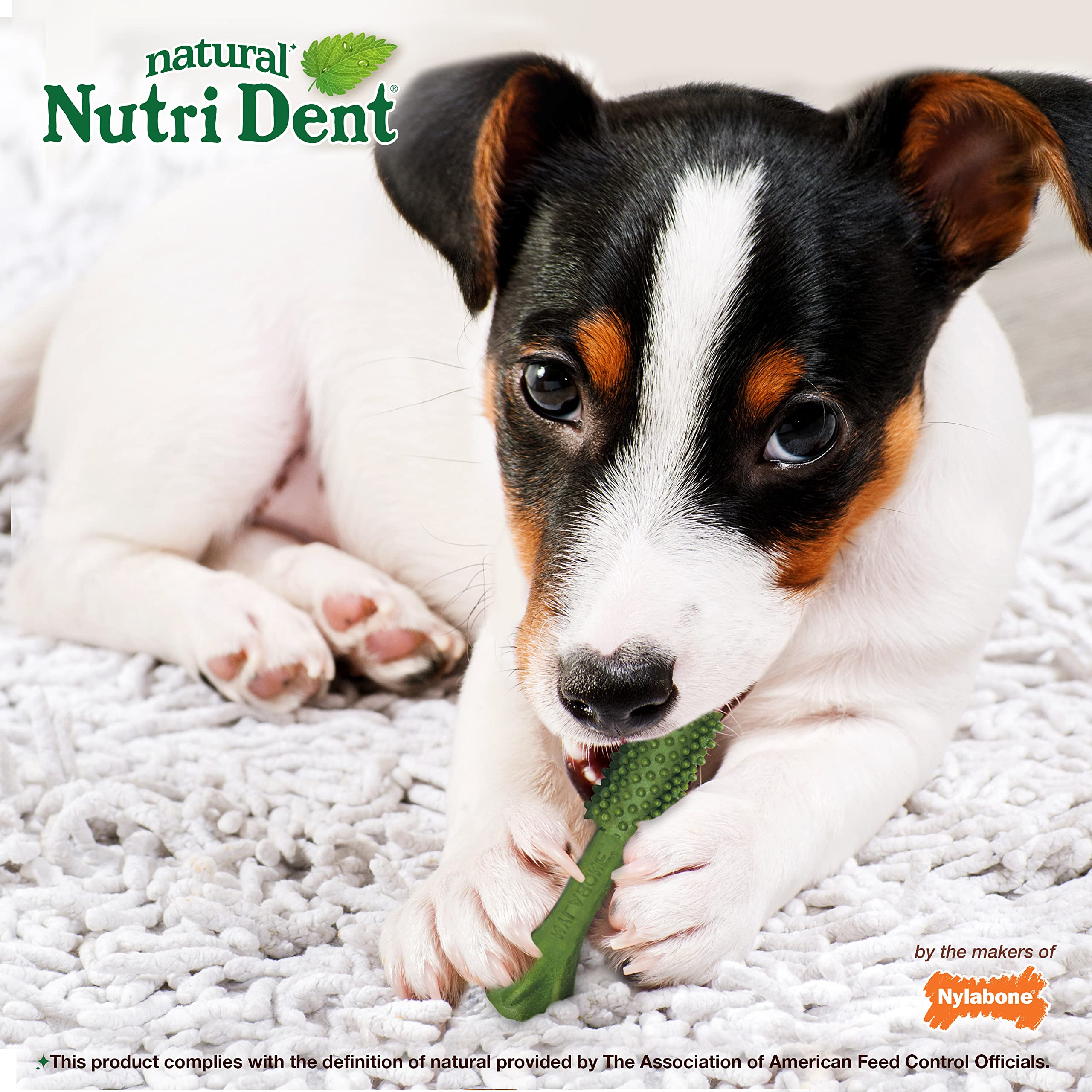 Natural, highly digestible ingredients listed on the Nutri Dent package.