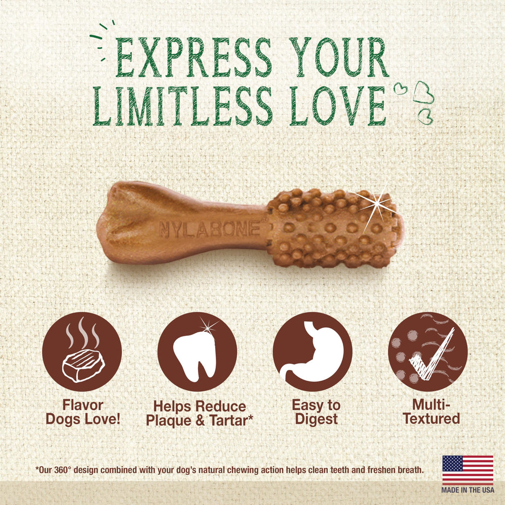 Nylabone Nutri Dent chews help freshen dog's breath between meals.