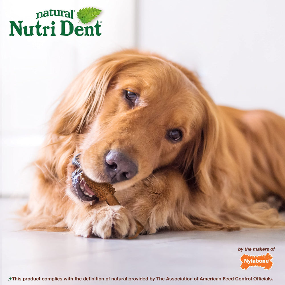 Filet mignon flavored chews with 360-degree nubs for dental cleaning.