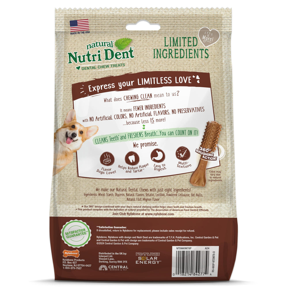 Nylabone Nutri Dent mini chews ideal for dogs up to 10 pounds